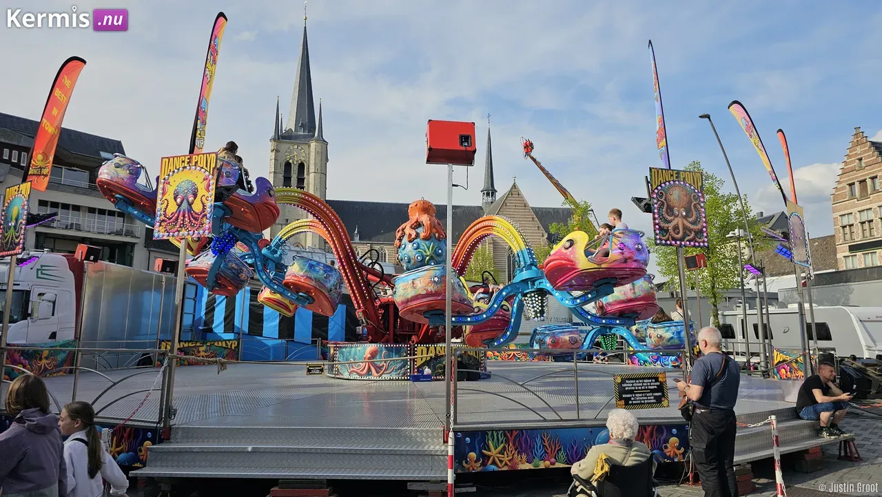 Palmenmarkt Geel 2025