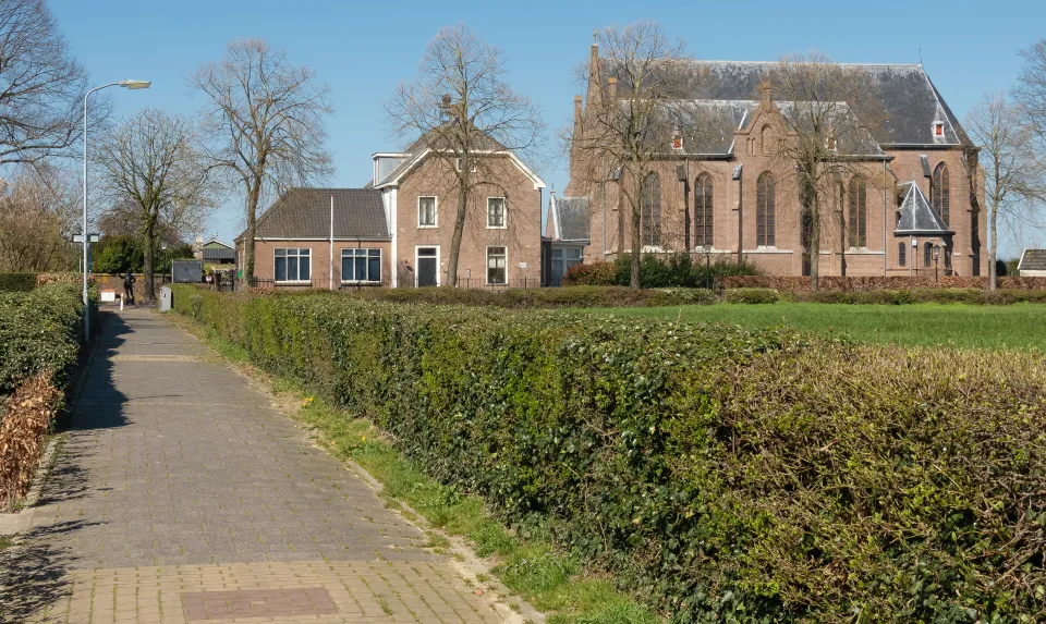 Beeld van Loo