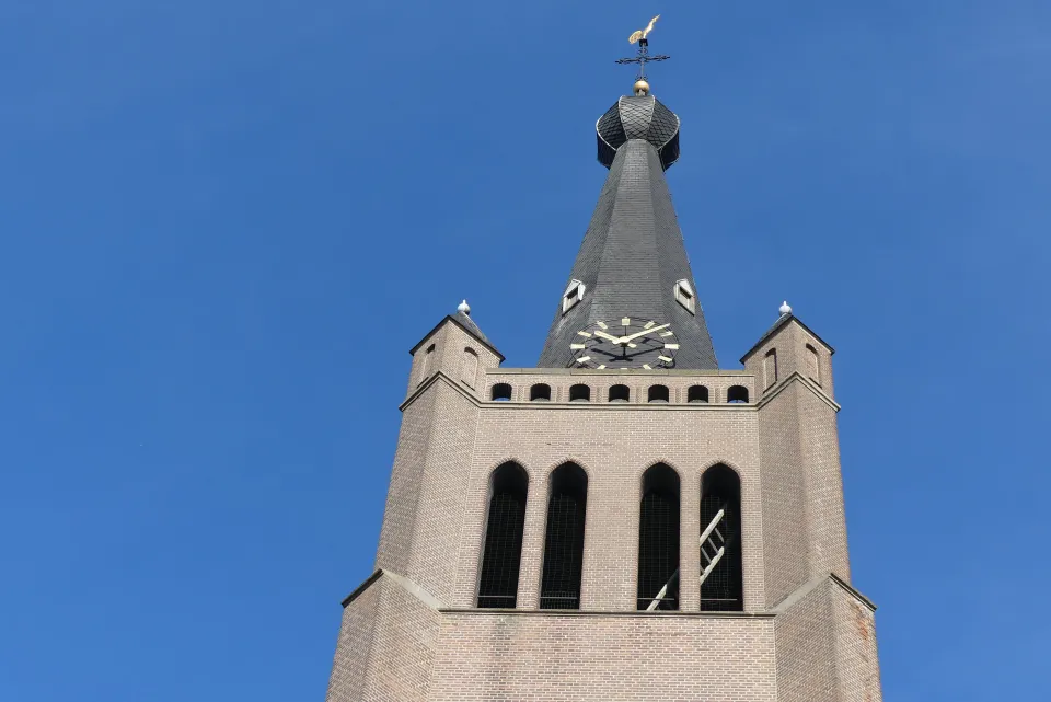 Beeld van Hank