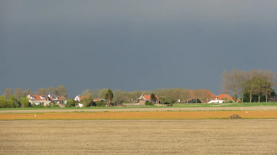 Beeld van Kamperland