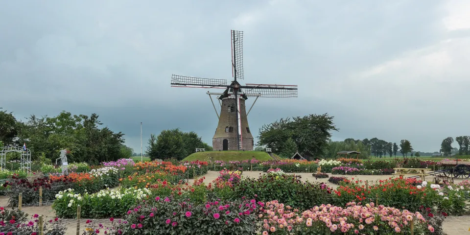 Beeld van Rekken