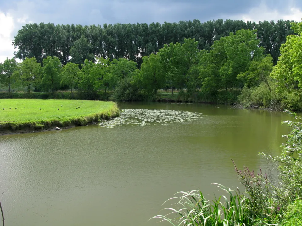 Beeld van Zevergem