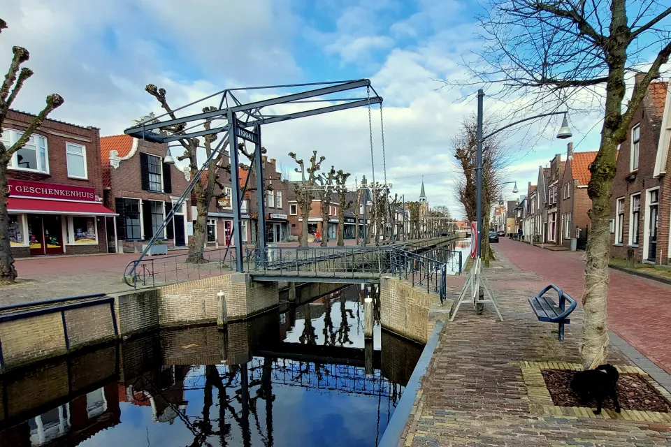 Beeld van Balk